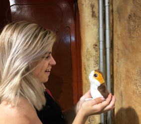 EBAC147B-8EF7-4688-BD04-BE30002D0753